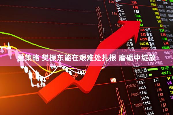爱策略 樊振东能在艰难处扎根 磨砺中绽放