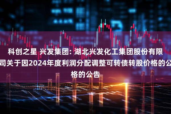 科创之星 兴发集团: 湖北兴发化工集团股份有限公司关于因2024年度利润分配调整可转债转股价格的公告