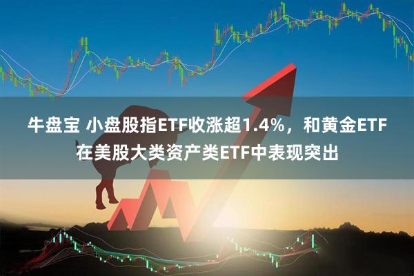 牛盘宝 小盘股指ETF收涨超1.4%，和黄金ETF在美股大类资产类ETF中表现突出